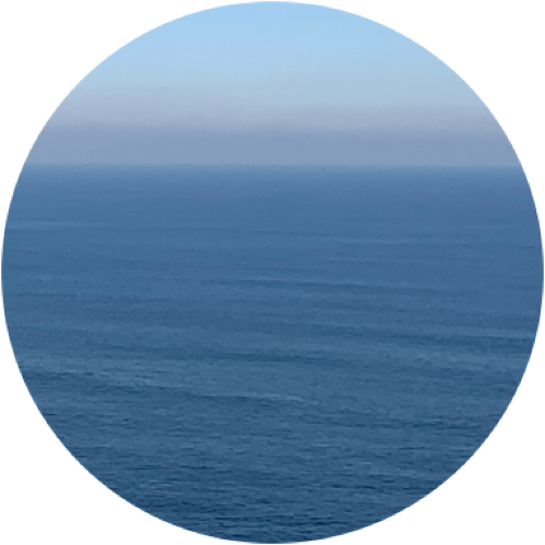 IMG_8905.png